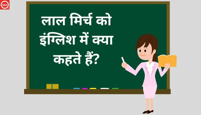 लाल मिर्च को इंग्लिश में क्या कहते हैं? | Lal mirch ko english mein kya kahate hain