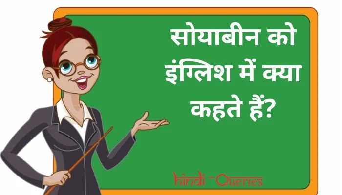 सोयाबीन को इंग्लिश में क्या कहते हैं? | Soyabean ko english mein kya kahate hain