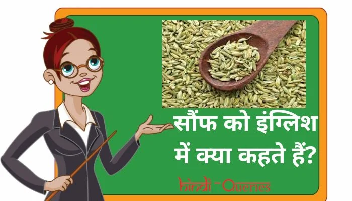 सौंफ को इंग्लिश में क्या कहते हैं? | Saunf ko english mein kya kahate hain