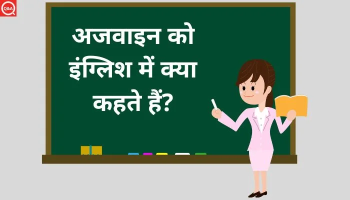 अजवाइन को इंग्लिश में क्या कहते हैं? | Ajwain ko english mein kya kahate hain
