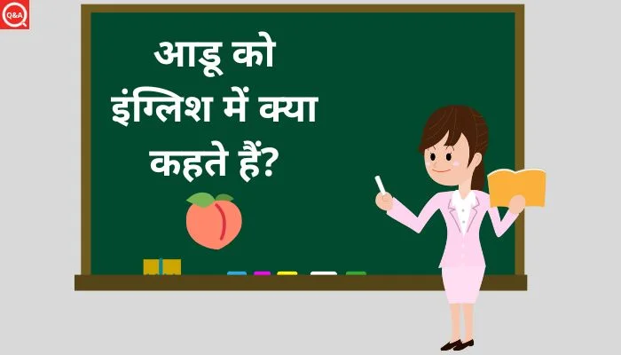 आडू को इंग्लिश में क्या कहते हैं? | Aadu ko english mein kya kahate hain
