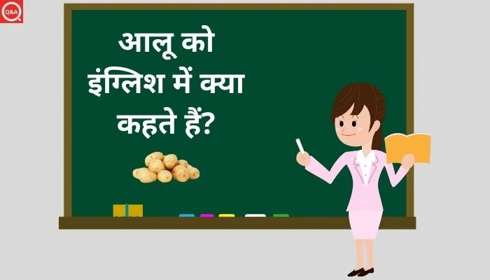 आलू को इंग्लिश में क्या कहते हैं? | Aalu ko english mein kya kahate hain