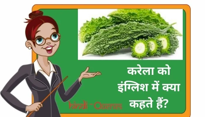 करेला को इंग्लिश में क्या कहते हैं? | Karela ko english mein kya kahate hain