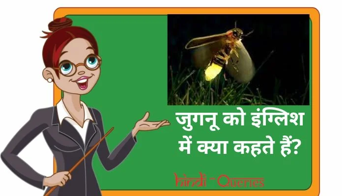 जुगनू को इंग्लिश में क्या कहते हैं? | Juganu ko english mein kya kahate hain