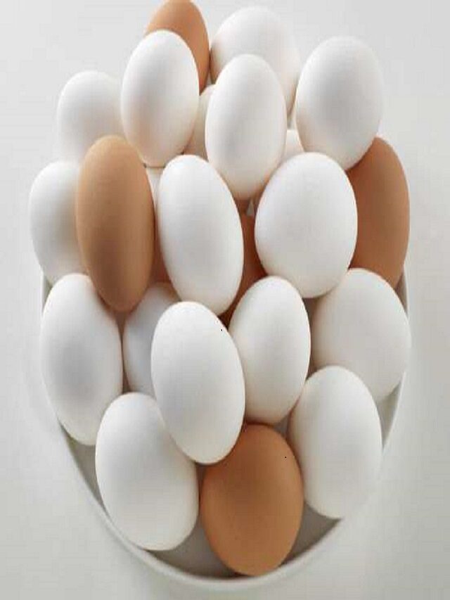 अंडे के साथ भूलकर न खाएं ये चीजें, चुकाना पड़ सकता है भारी नुकसान