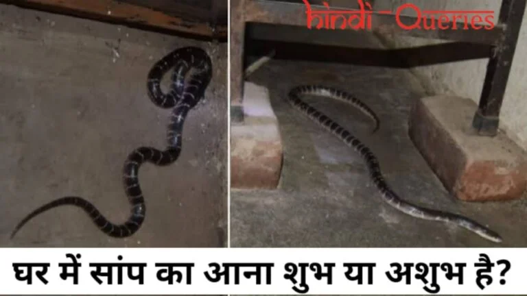 घर में सांप का आना शुभ या अशुभ है (Ghar me saap ka aana shubh ya ashubh)