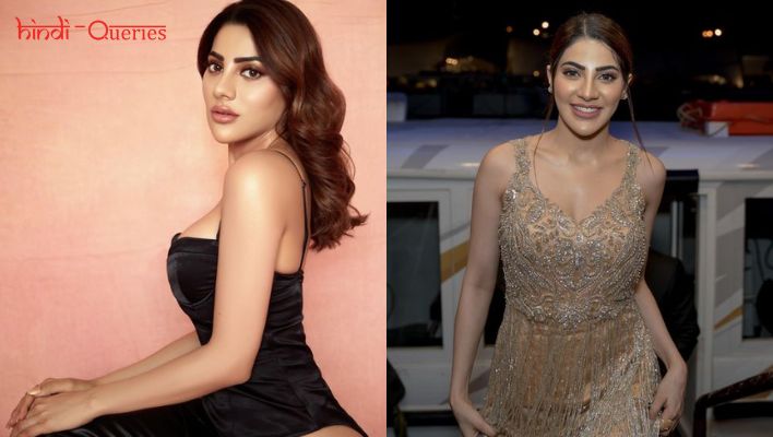 निक्की तंबोली का जीवन परिचय (Nikki Tamboli Biography in Hindi)