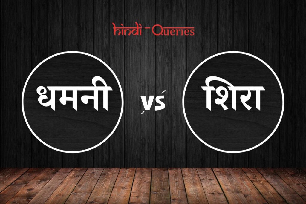 धमनी और शिरा में अंतर | Dhamni Aur Shira Mein Antar