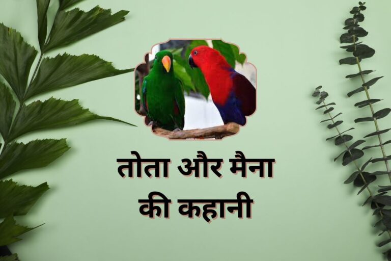 तोता मैना की कहानी | Tota Maina Ki Kahani