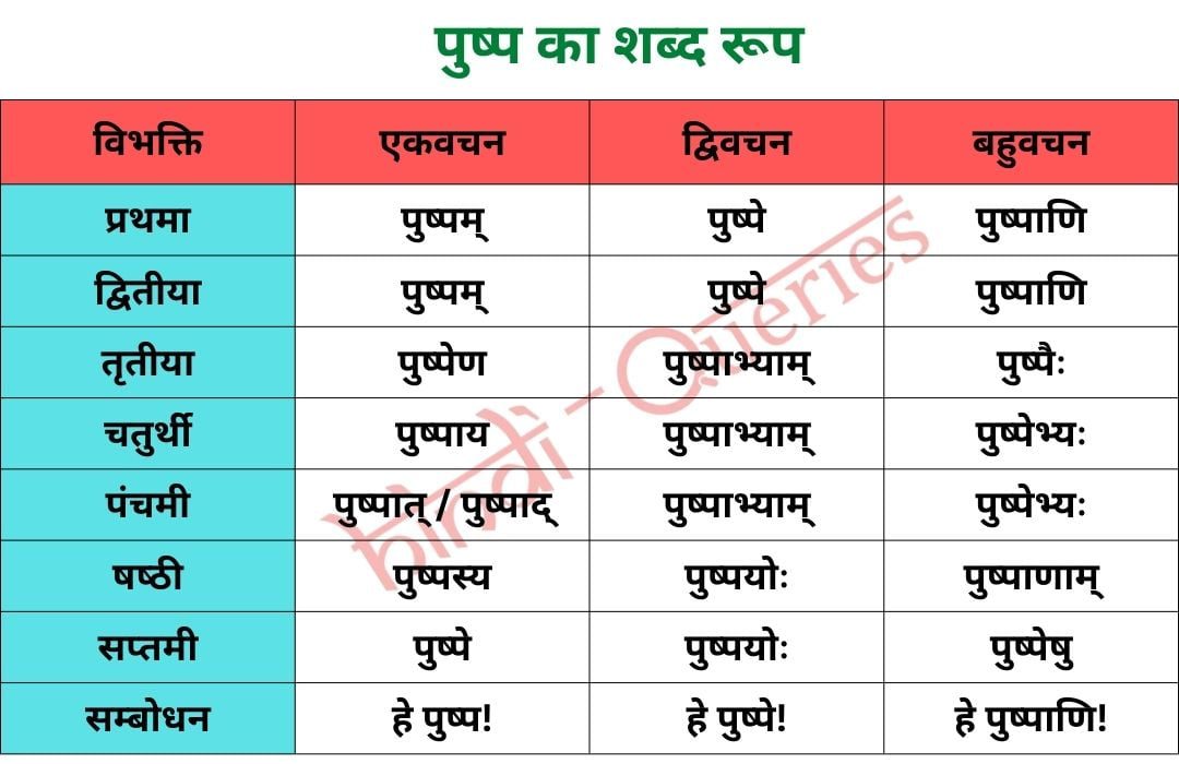 पुष्प शब्द रूप संस्कृत में | Pushp Shabd Roop in Sanskrit » HindiQueries