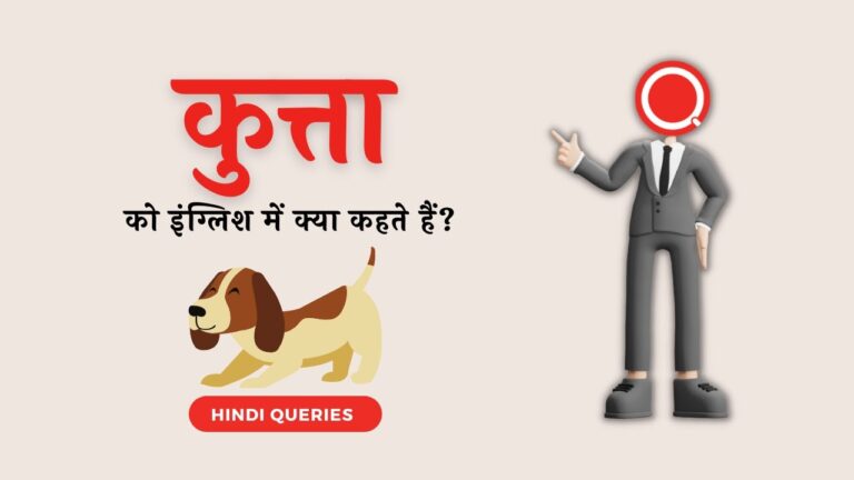 कुत्ता को इंग्लिश में क्या कहते हैं Kutta ko english mein kya kahate hain