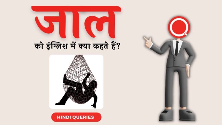 जाल को इंग्लिश में क्या कहते हैं Jaal ko english mein kya kahate hain