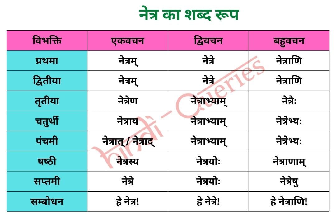 नेत्र शब्द रूप संस्कृत में | Netra Shabd Roop in Sanskrit