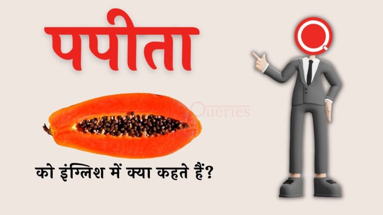 पपीता को इंग्लिश में क्या कहते हैं Papita ko english mein kya kahate hain