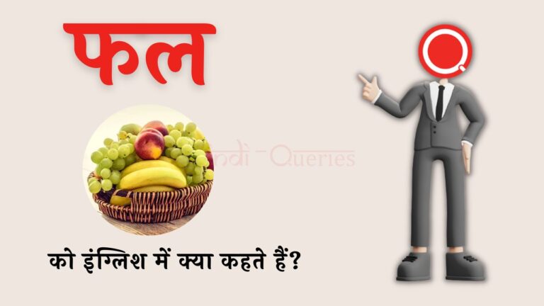 फल को इंग्लिश में क्या कहते हैं? | Phal ko english mein kya kahate hain