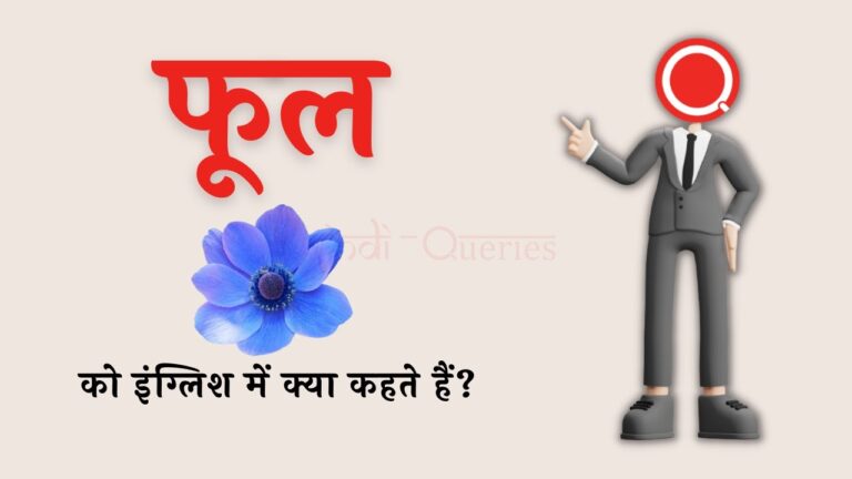 फूल को इंग्लिश में क्या कहते हैं Phool ko english mein kya kahate hain