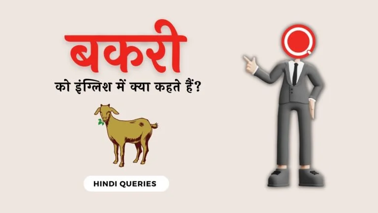 बकरी को इंग्लिश में क्या कहते हैं Bakri ko english mein kya kahate hain