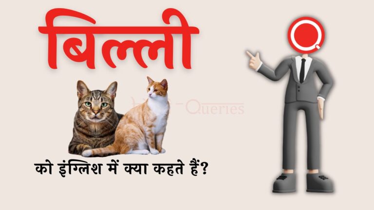 बिल्ली को इंग्लिश में क्या कहते हैं? | Billi ko english mein kya kahate hain