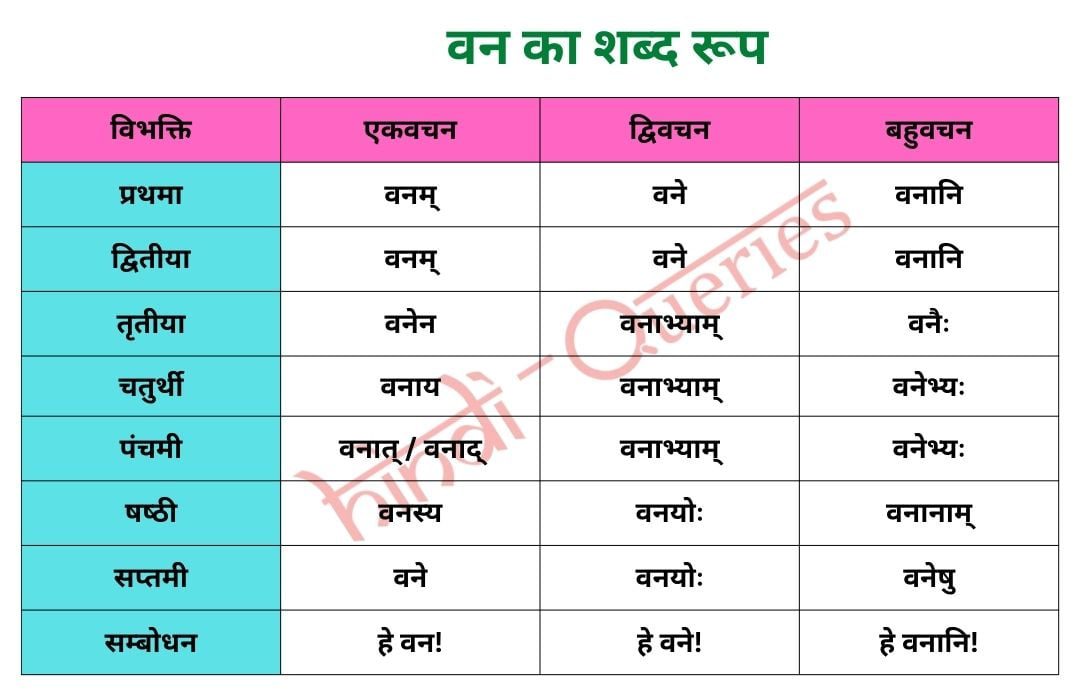वन शब्द रूप संस्कृत में Van Shabd Roop in Sanskrit