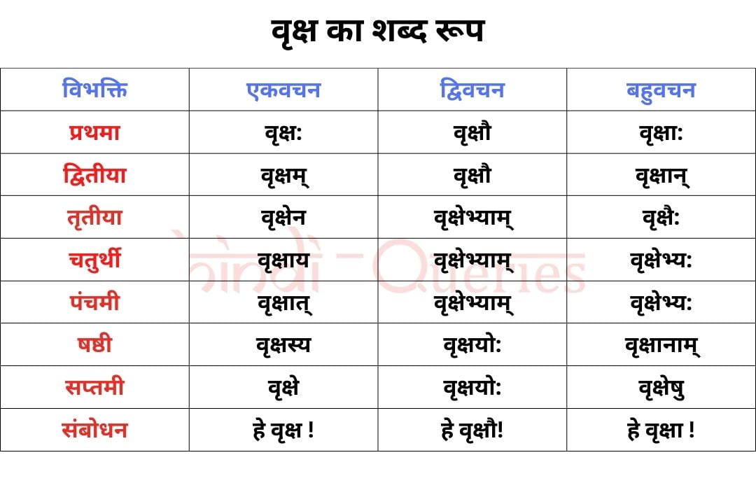वृक्ष शब्द रूप संस्कृत में (Vriksh Shabd Roop in Sanskrit)