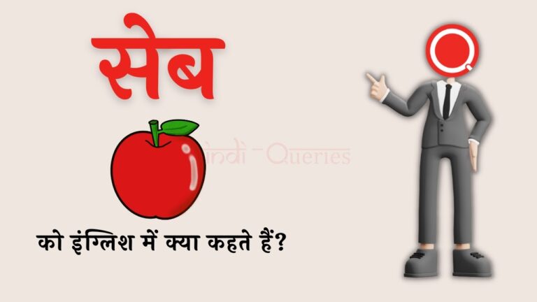 सेब को इंग्लिश में क्या कहते हैं Seb ko english mein kya kahate hain