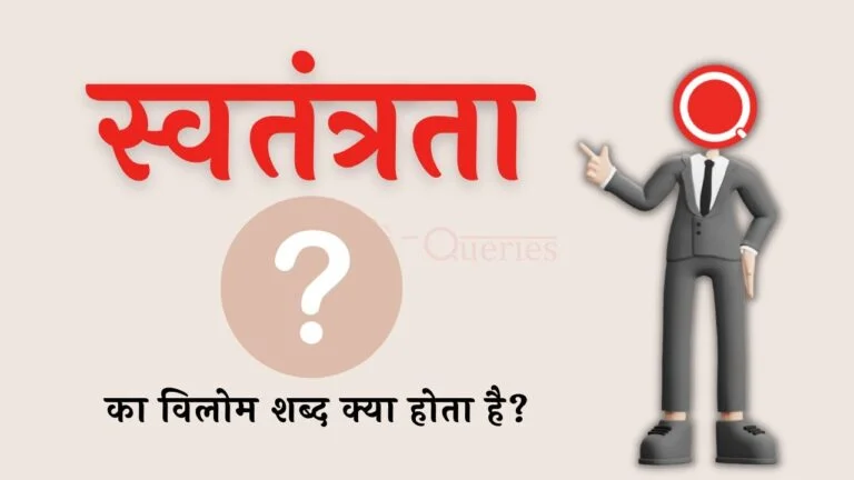 स्वतंत्रता का विलोम शब्द क्या होता है Swatantrata Ka Vilom Shabd in Hindi