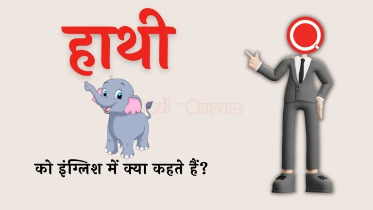 हाथी को इंग्लिश में क्या कहते हैं? | Hathi ko english mein kya kahate hain
