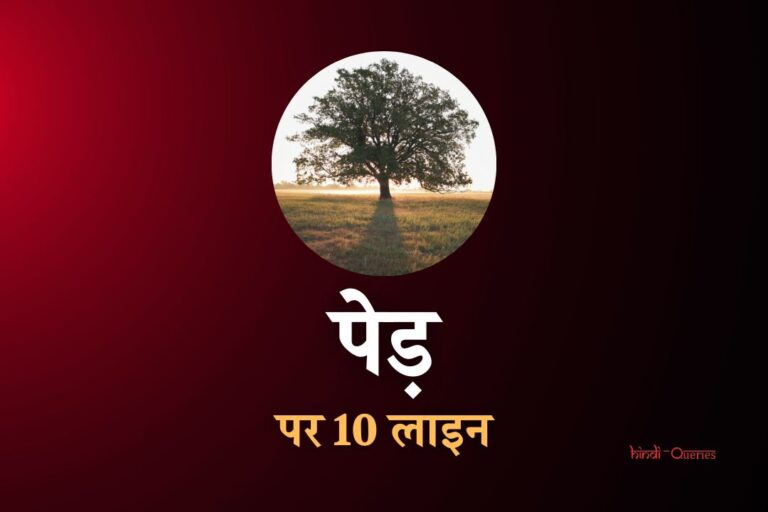 पेड़ पर 10 लाइन | 10 Lines On Tree In Hindi