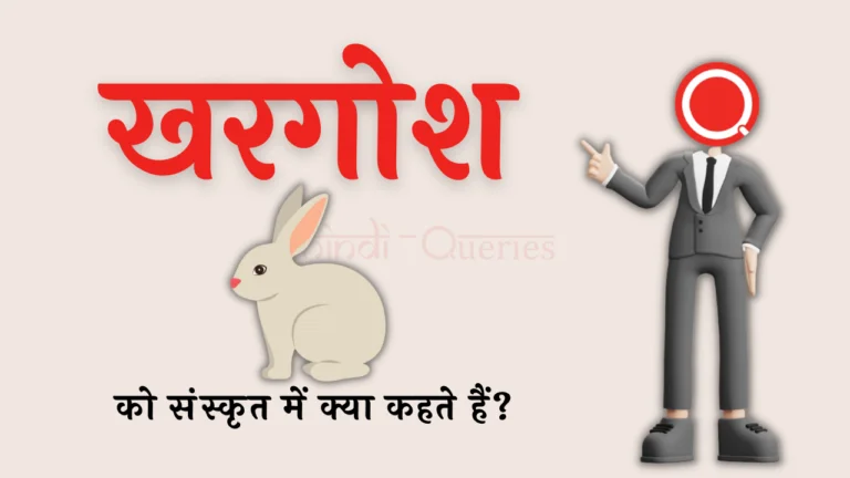 खरगोश को संस्कृत में क्या कहते हैं? | Khargosh Ko Sanskrit Mein Kya Kahate Hain
