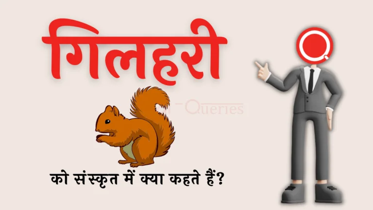 गिलहरी को संस्कृत में क्या कहते हैं? | Gilhari Ko Sanskrit Mein Kya Kahate Hain