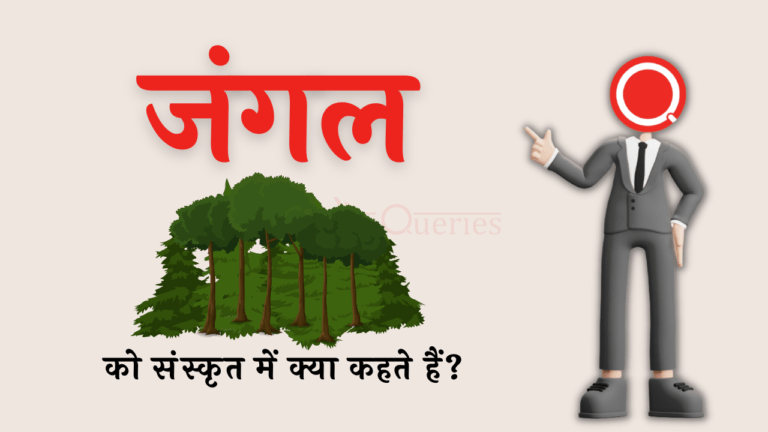 जंगल को संस्कृत में क्या कहते हैं? | Jangal Ko Sanskrit Mein Kya Kahate Hain