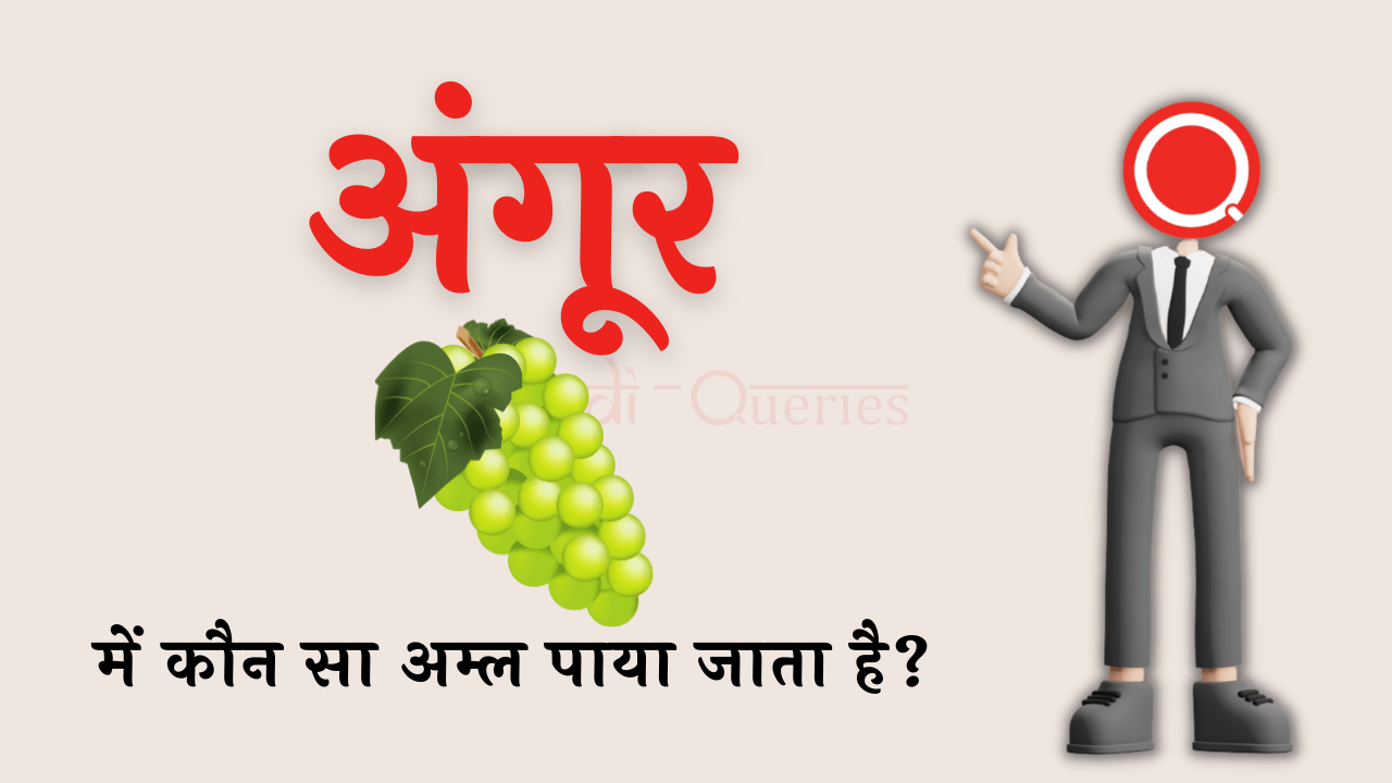 अंगूर में कौन सा अम्ल पाया जाता है? | Angur Mein Kaun Sa Amal Paya Jata Hai