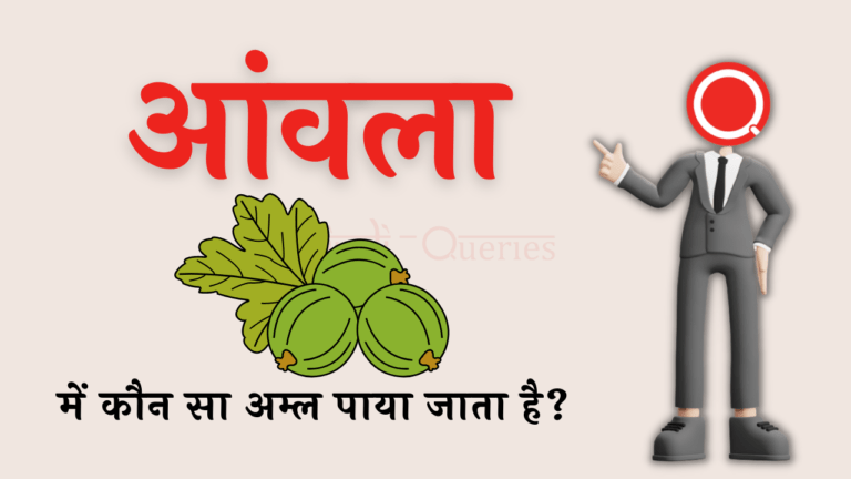 आंवला में कौन सा अम्ल पाया जाता है? | Anvala Mein Kaun Sa Amal Paya Jata Hai