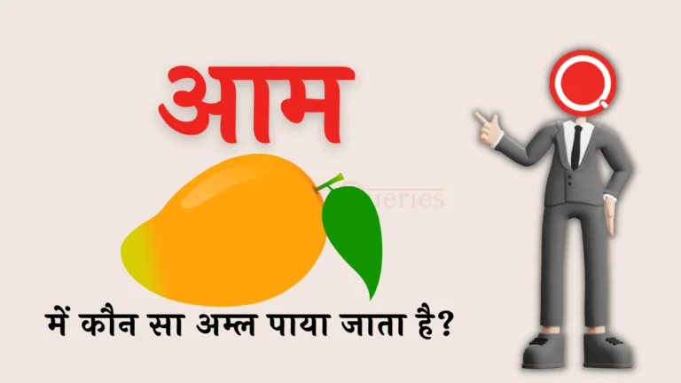 आम में कौन सा अम्ल पाया जाता है? | Aam Mein Kaun Sa Amal Paya Jata Hai