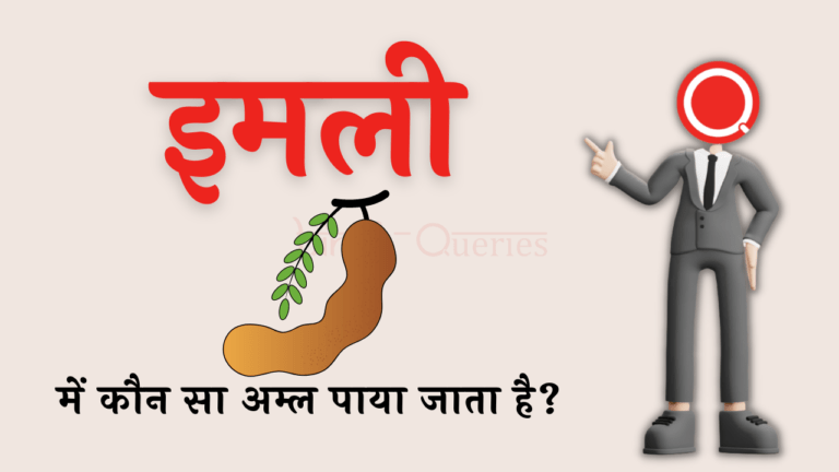 इमली में कौन सा अम्ल पाया जाता है? | Imli Mein Kaun Sa Amal Paya Jata Hai