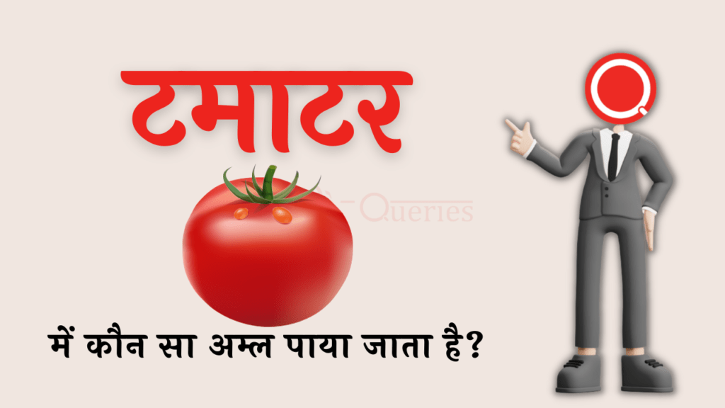टमाटर में कौन सा अम्ल पाया जाता है? | Tamatar Mein Kaun Sa Amal Paya Jata Hai
