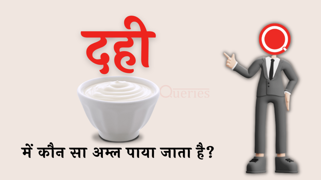 दही में कौन सा अम्ल पाया जाता है? | Dahi Mein Kaun Sa Amal Paya Jata Hai