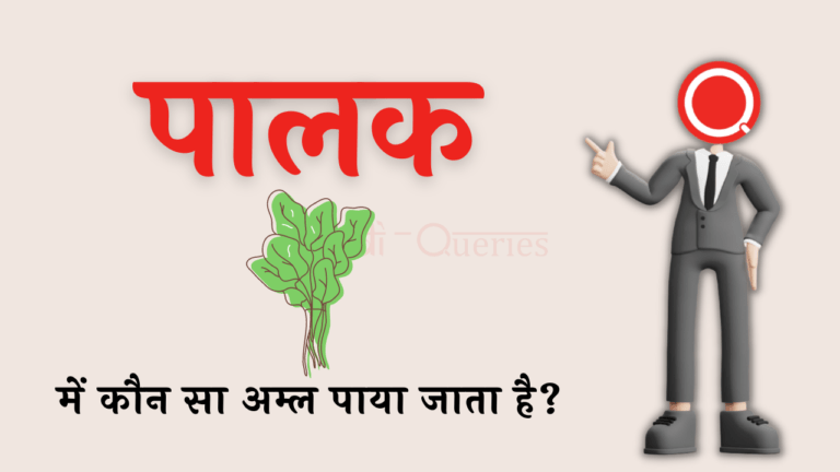 पालक में कौन सा अम्ल पाया जाता है? | Palak Mein Kaun Sa Amal Paya Jata Hai