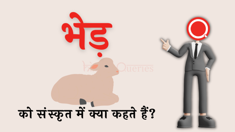 भेड़ को संस्कृत में क्या कहते हैं? | Bhed Ko Sanskrit Mein Kya Kahate Hain