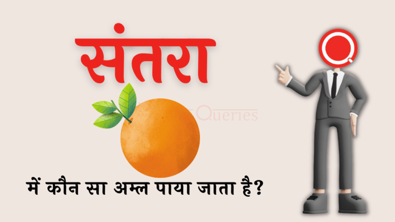 संतरा में कौन सा अम्ल पाया जाता है? | Santra Mein Kaun Sa Amal Paya Jata Hai