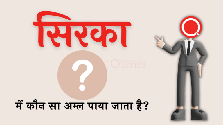 सिरका में कौन सा अम्ल पाया जाता है? | Sirka Mein Kaun Sa Amal Paya Jata Hai