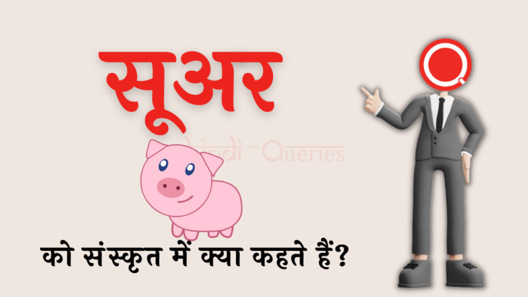 सूअर को संस्कृत में क्या कहते हैं? | Suar Ko Sanskrit Mein Kya Kahate Hain