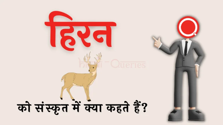 हिरण को संस्कृत में क्या कहते हैं? | Hiran Ko Sanskrit Mein Kya Kahate Hain