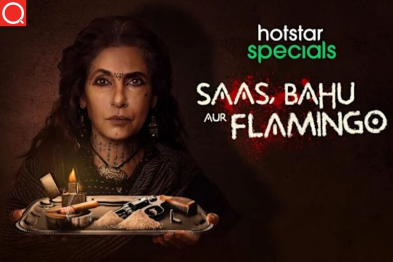 Saas Bahu Aur Flamingo Web Series Download